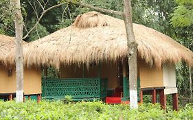 Nature Hunt Eco Camp